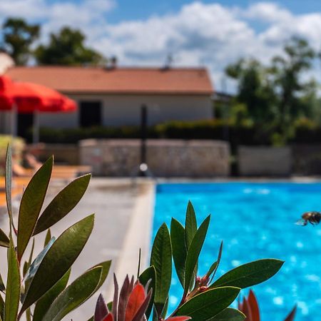 Agriturismo Il Tripesce Вада Экстерьер фото