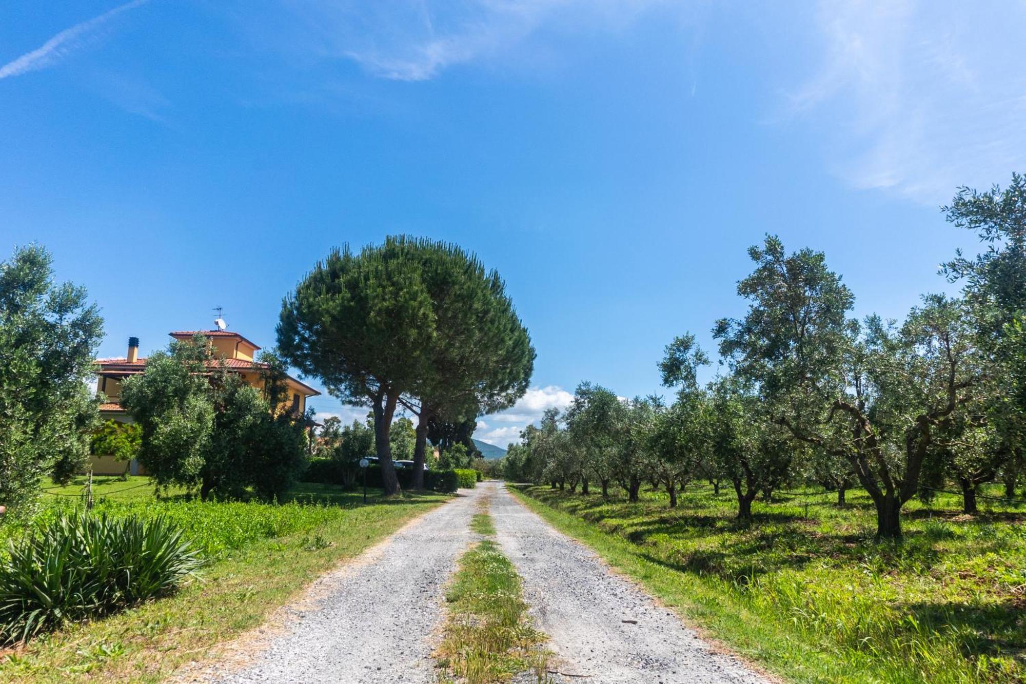Agriturismo Il Tripesce Вада Экстерьер фото