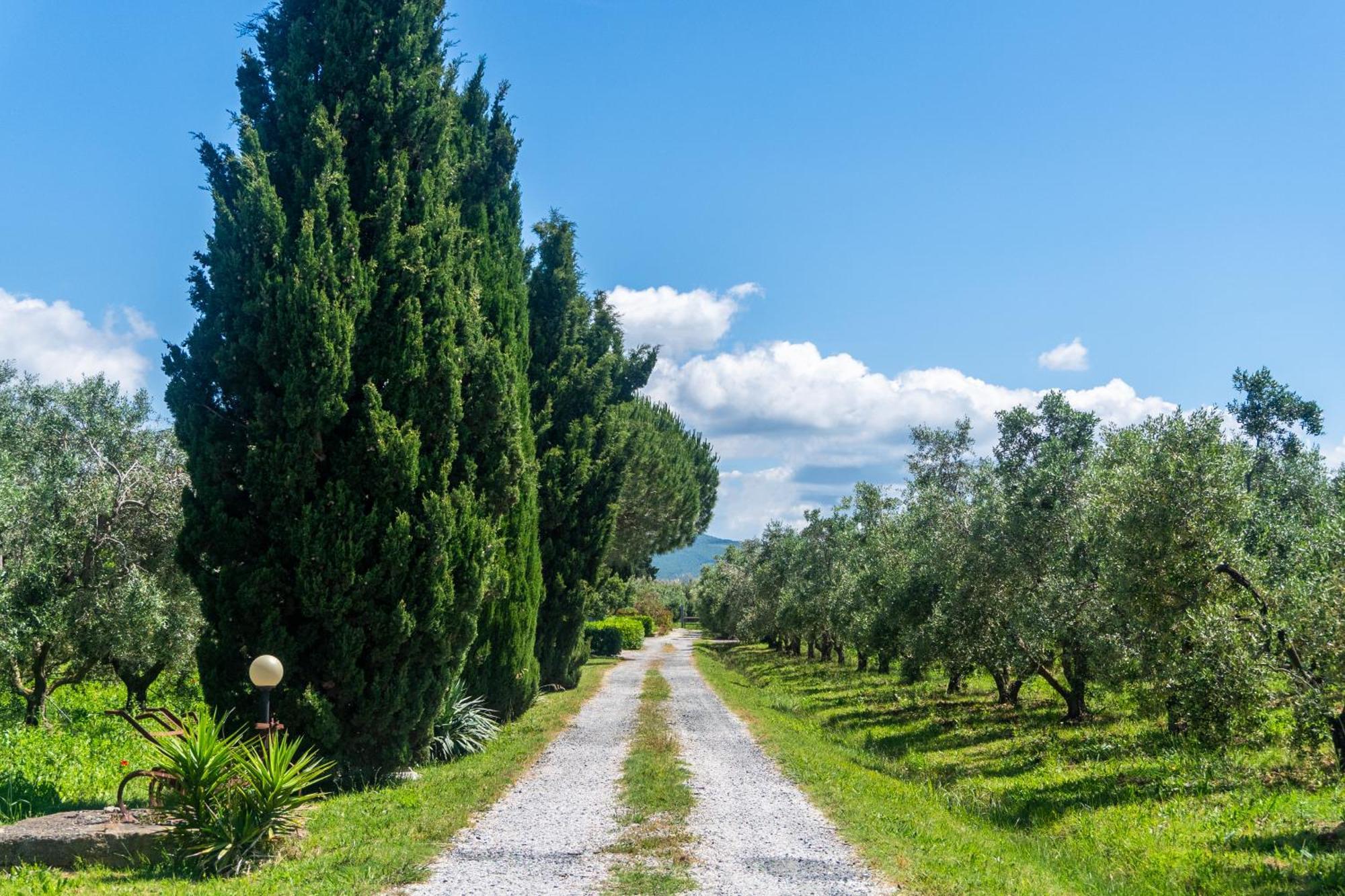 Agriturismo Il Tripesce Вада Экстерьер фото
