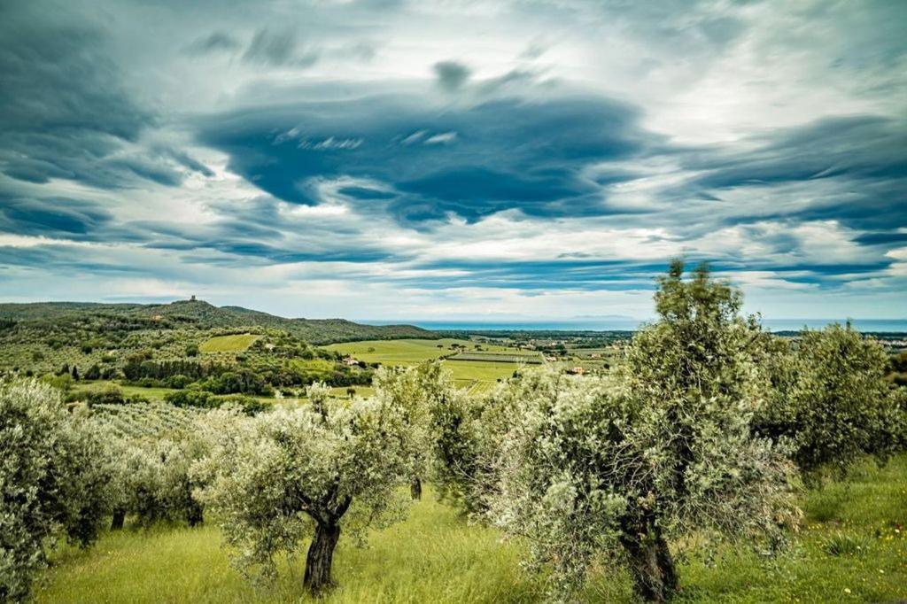 Agriturismo Il Tripesce Вада Экстерьер фото
